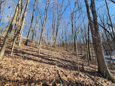 Marsh Road