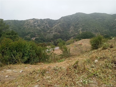 0 Tujunga unit SR25126731, Tujunga, CA 91042 - photo 4