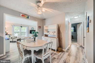 408 Carrollwood Rd, Middle River, MD 21220 - photo 4