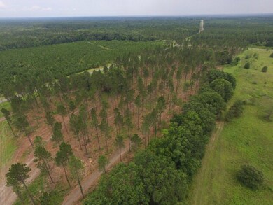 0 Whipples Crossing Rd unit 21448, Dudley, GA 31022 - photo 6