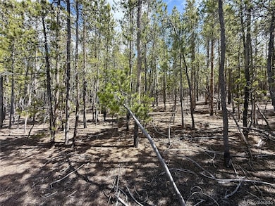 View of undeveloped land