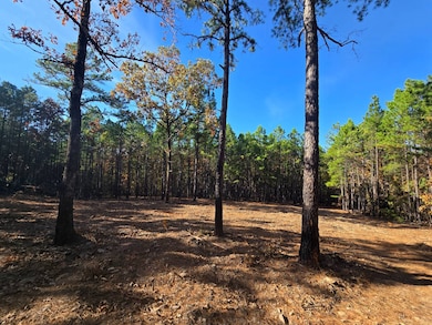 60 SE 136th Rd, Bengal, OK 74563 - photo 7