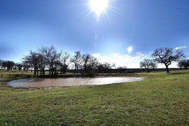 3663 Old Agnes Rd, Weatherford, TX 76088 - photo 3