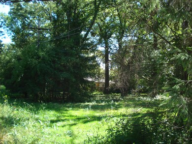 9513-17 Forest Place, Des Plaines, IL 60016 - photo 3