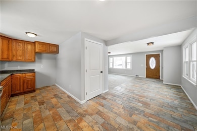 3439 N Myers Rd, Geneva, OH 44041 - photo 4