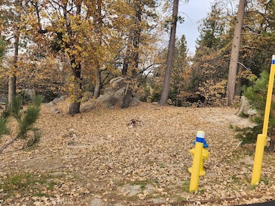 32240 Whisper Dr, Running Springs, CA 92382 - photo 2