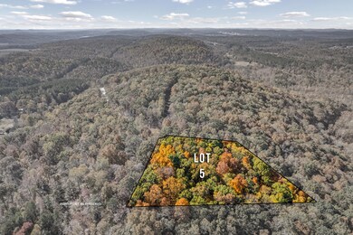 29 Co Rd, Riceville, TN 37370 - photo 5