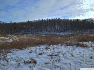 1 Thomas Rd, Old Chatham, NY 12136 - photo 6