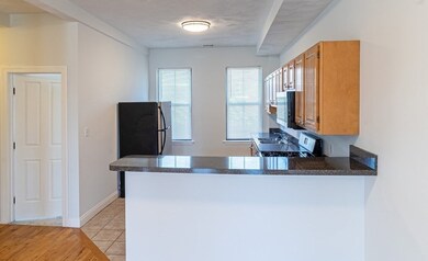6 Alvah Kittredge Park unit 3, Roxbury, MA 02119 - photo 3