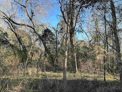 TBD County Road 3324, Pittsburg, TX 75686 - photo 5