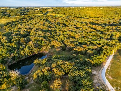 0 Highway D - Tract 9 (24 7+ - Acres) unit MIS25078045, Eolia, MO 63344 - photo 5