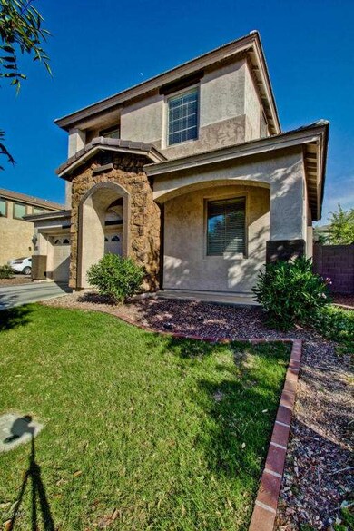 Lush Grass Front yard
