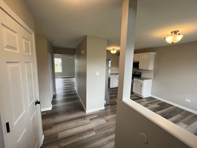 26518 W Deer Path, Channahon, IL 60410 - photo 3