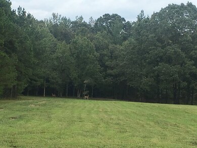 0 County Road 103, Lafayette Springs, MS 38655 - photo 4