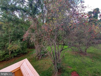 238 E Ridge Loop Rd, Romney, WV 26757 - photo 7