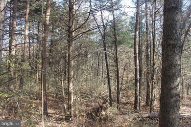 0 Chimney Oaks Ct unit VAFQ2006814, Marshall, VA 20115 - photo 3