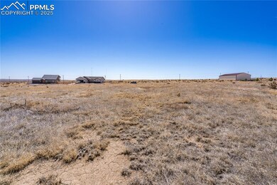 View of local wilderness with a rural view