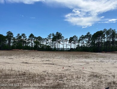 5704 Moonshell Loop, Wilmington, NC 28412 - photo 4