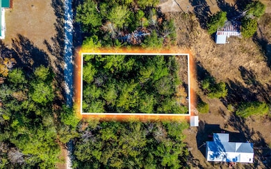 00 177th Ln, Live Oak, FL 32060 - photo 6