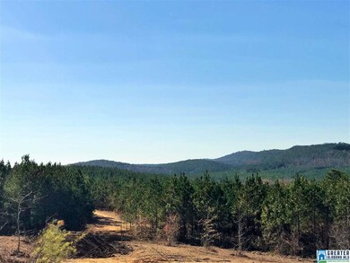 10 Highway 69 unit Parcel 5, Chelsea, AL 35043 - photo 4