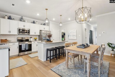 3079 Hallsdale Dr, Elgin, SC 29045 - photo 5