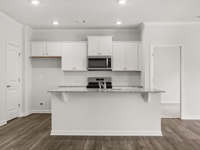 Aria updated kitchen with a large island a walk-in pantry with wire shelving