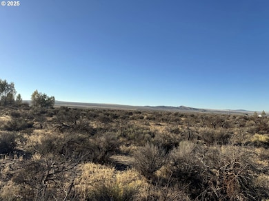 0 SE Pinion Ln unit 228511914, Christmas Valley, OR 97641 - photo 7