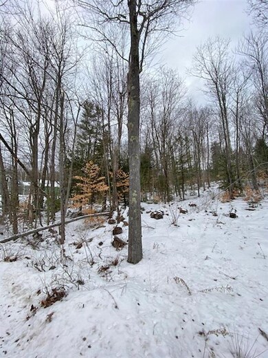 0 Mountain Rd unit 4844004, Center Tuftonboro, NH 03816 - photo 4