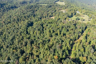 8111 White Oak Flatt Rd, Sparta, TN 38583 - photo 5