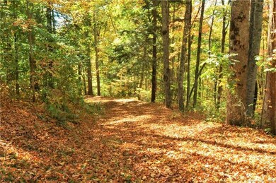 34 miles of hiking trails at Balsam Mountain Prese