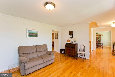 561 Washout Ln, Winchester, VA 22603 - photo 2