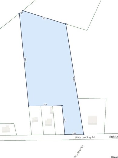 0 Pitch Landing Rd unit 2024472, Conway, SC 29527 - photo 4