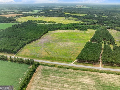 APPRX 34.2 ACRE Highway 301 N, Statesboro, GA 30458 - photo 5