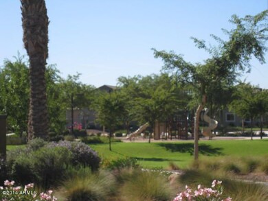 Community-Amenities