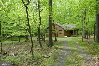 1301 Red Fox Rd, New Creek, WV 26743 - photo 4