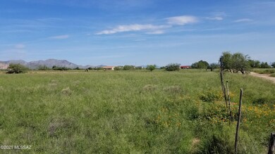 Newland & S. Palm Rd (3)