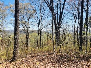 viny bluff 6