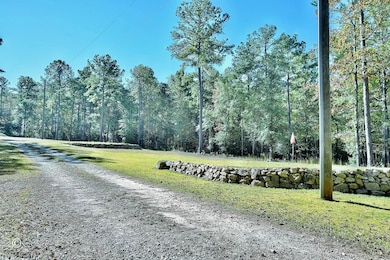 3175 Salem Rd, Pine Mountain, GA 31822 - photo 3