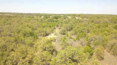 00 Jordan, Poolville, TX 76487 - photo 4