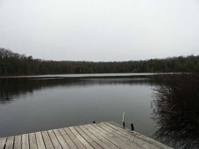 1646 W Bass Lake Dr, Bitely, MI 49309 - photo 7