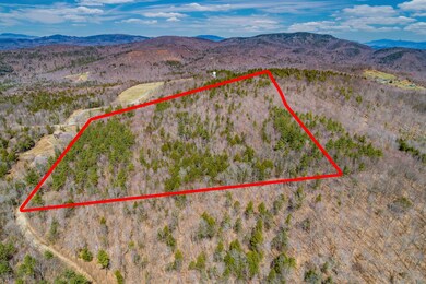 0 Brock Hill Rd West Clement Rd unit 4906694, Bridgewater, NH 03222 - photo 5