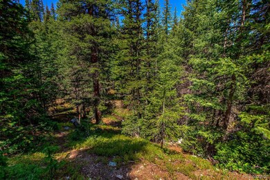 0307 Cr 674 unit 18, Blue River, CO 80424 - photo 6