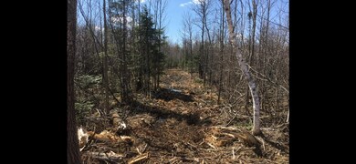 25 Itasca County 25, Wawina Township, MN 55736 - photo 3