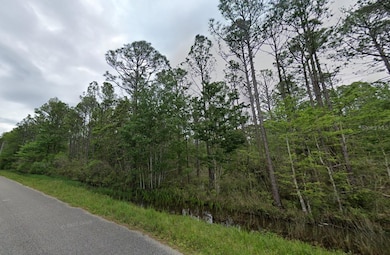 10600 Pearson Rd, Milton, FL 32583 - photo 3