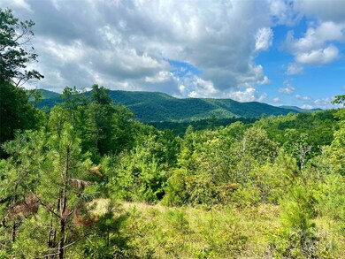 667 Laurel Thicket Ln, Brevard, NC 28712 - photo 7