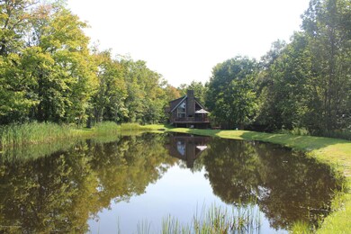 355 Sickler Pond Rd, Jermyn, PA 18433 - photo 3