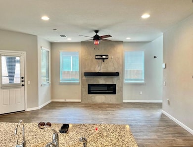 14110 Luisium View unit 72, Pflugerville, TX 78660 - photo 3