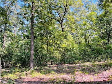 2362 N State Highway 265 unit 20 Acres M/L, Branson, MO 65616 - photo 2