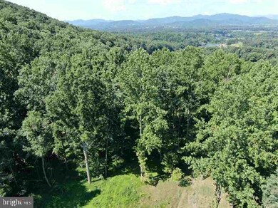 LOT 31 Blandemar Dr, Samuel Miller, VA 22903 - photo 5