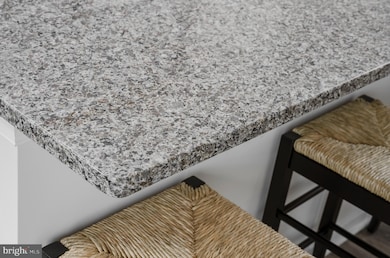 473 Seeback Dr unit SAVANNAH LOT 248, Charles Town, WV 25414 - photo 3